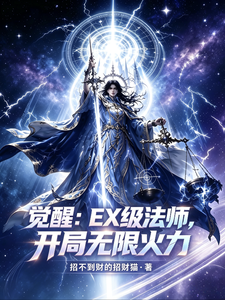 觉醒：EX级法师，开局无限火力